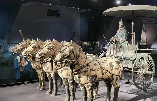 5 Hours Tour to the Terracotta Warriors Museum