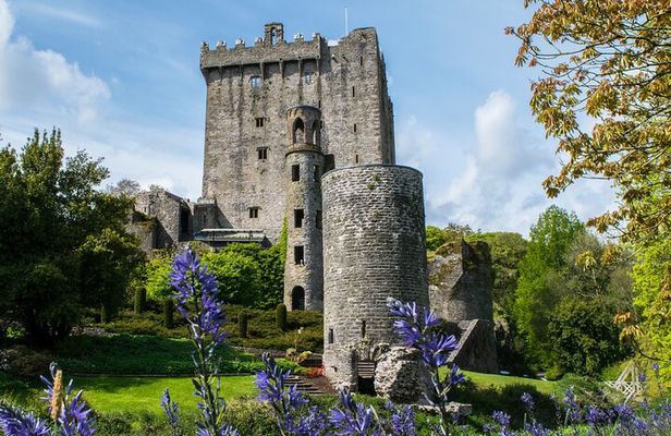 Luxury Private Day Tour to Blarney Castle