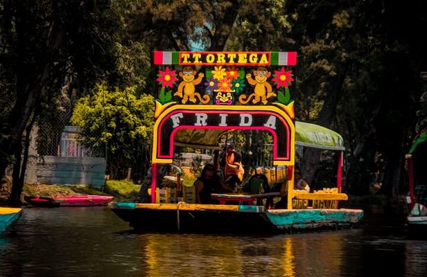 Xochimilco, Coyoacan and more tours