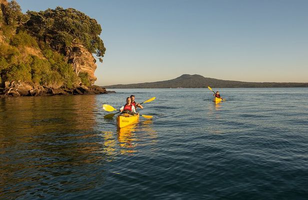 Day sea kayak tour Rangitoto Island