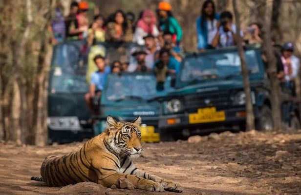 Private Delhi Agra Jaipur Multi Day Tour