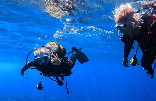 Scuba Experience in Tenerife with Guide 