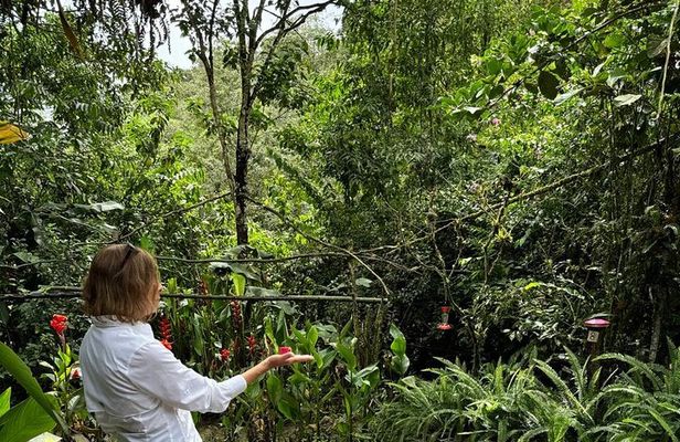 Mindo Cloud Forest Private Day Tour and Chocolate Factory