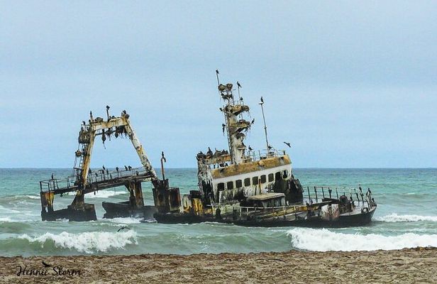Skeleton Coast Cape Cross Seal Colony Tour