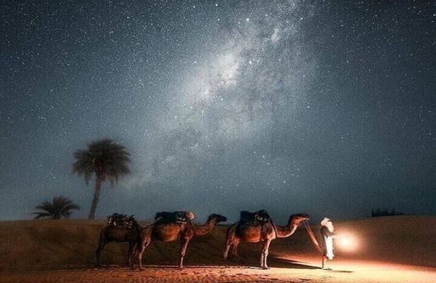 Desert Nights : Jeep Safari, Stargazing Adventure in Hurghada