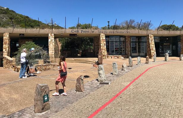 Private tour in Cape of Good Hope and Penguins from Cape Town