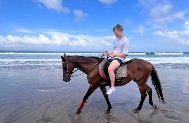 Bali Horse Riding Seminyak Beach Experience Private Transport