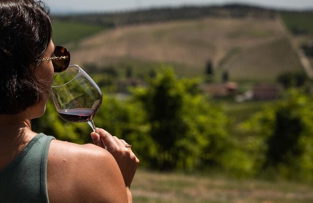 Wine experience in the Tuscan hills with tasting in Vinci