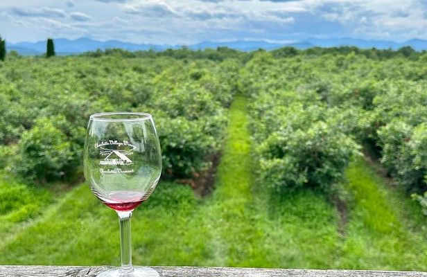 Small Group Wine & Cider Tour in Vermont
