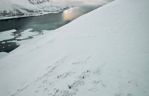 Lofoten Islands: Guided Snowshoeing Tour - Uphill version