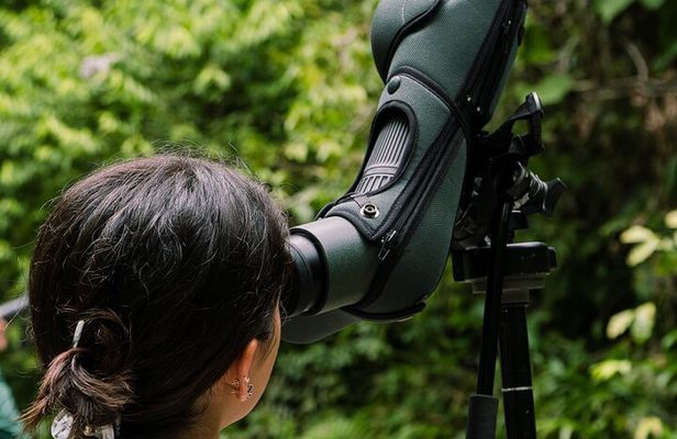 Manuel Antonio Esquipulas Birdwatching Tour