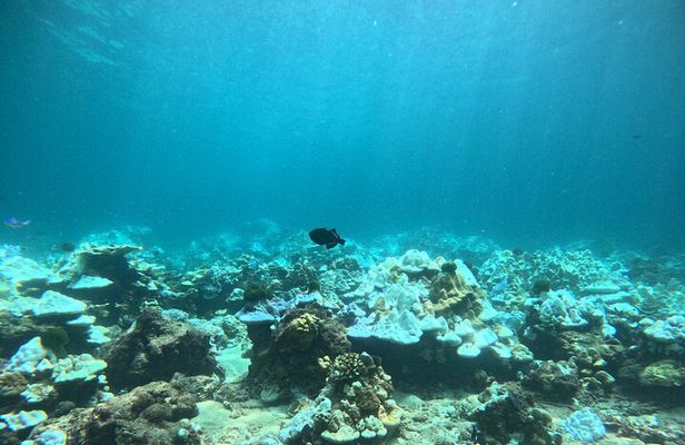 Phuket: PADI Discover Scuba Diving 1 beach dive