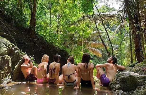 Wildlife Sanctuary Trekking in Khao Phra Thaeo with Lunch