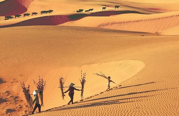 Discover Mui Ne:Fairy Stream, Fishing Village, Sand Dunes, Sunset