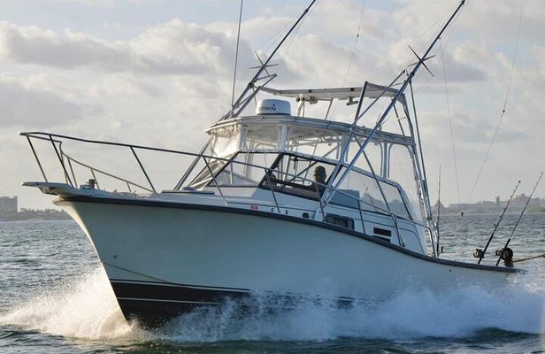 Bertram 35ft boat sport fishing cancun up to 6 passengers