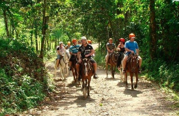 Samana+Baracardi Island Tour And Lemon Jump From PUJ