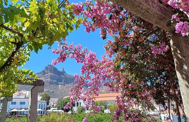 Gran Canaria highlights & hidden gems with local guide Sky Rebels