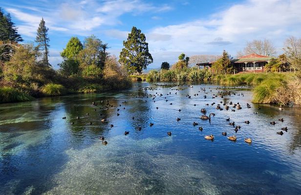 Private Tour Rotorua + Blue springs + WaiOtapu + Redwood forest