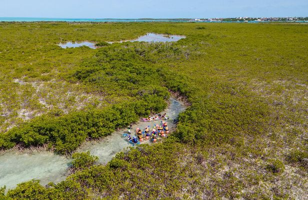 2 Hours Clear Kayaking Activity on Mangrove Cay