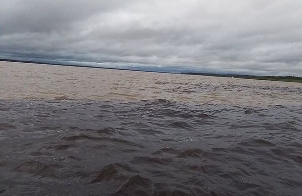 Amazonian River Tour in Manaus (Share Tour)