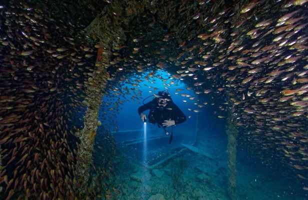 3 Fun Dives King Cruiser Wreck and Koh DokMai for Certified diver