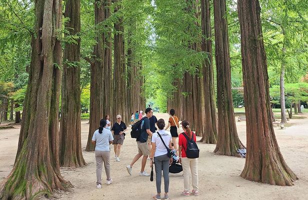 Scenic Escape: Nami Island, Garden of Morning Calm, and Rail Bike