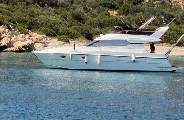 Private Motoryacht Cruise in Bodrum with Lunch