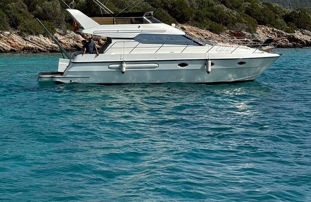 Private Motoryacht Cruise in Bodrum with Lunch