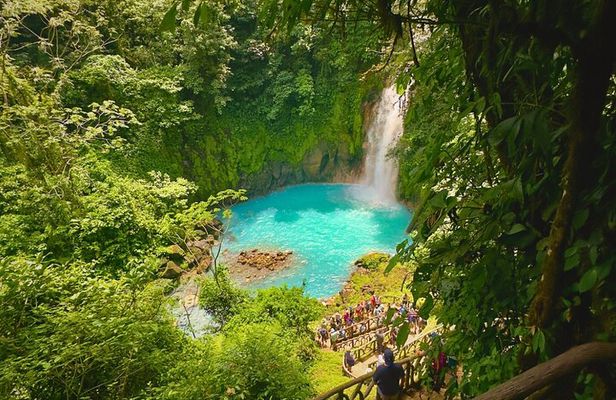 Rio Celeste Expedition – Sloths, Waterfalls & Nature's Magic