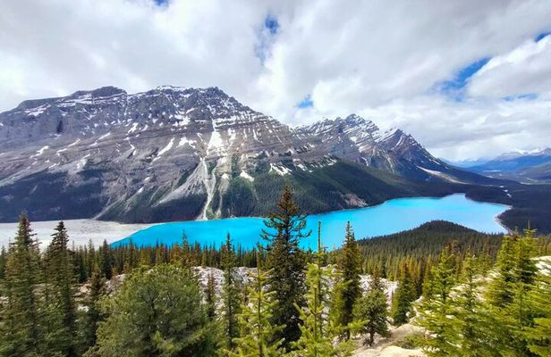 Lake Louise, Moraine Lake, Peyto Lake, Crowfoot Tour from Calgary
