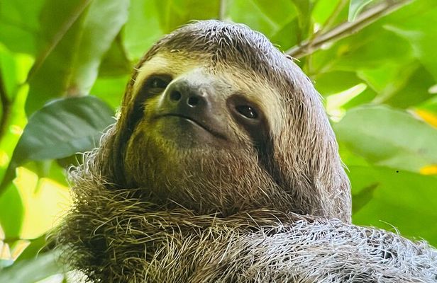 Corcovado National Park: Mermaid day tour from Puerto Jimenez