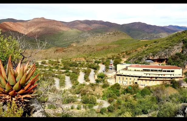 Oudtshoorn Cango Caves and Ostrich Experience with Lunch