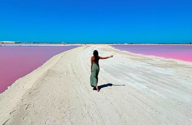 Safari in Rio Lagartos, Coloradas and Mayan Bath with Lunch