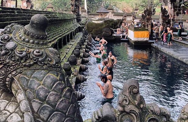 Ubud Private Tour: Hidden Waterfalls, Rice Terraces & Temple