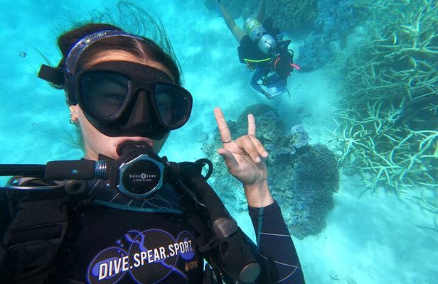 Outer Reef Scuba Diving Day Tour from Agnes Water 1770