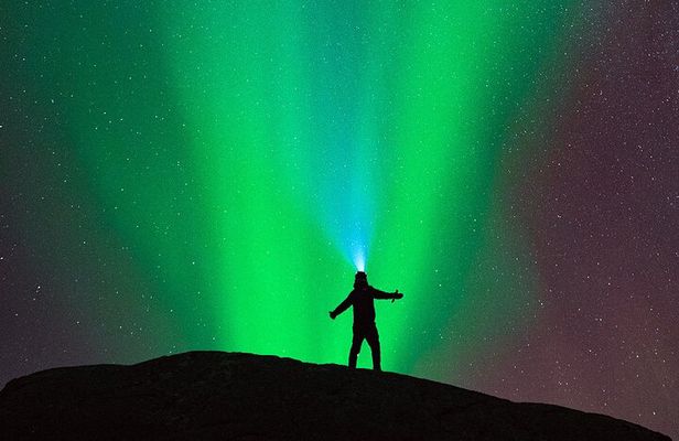 Ultimate Aurora Hunt Northern Lights Van Tour with Hot Drinks