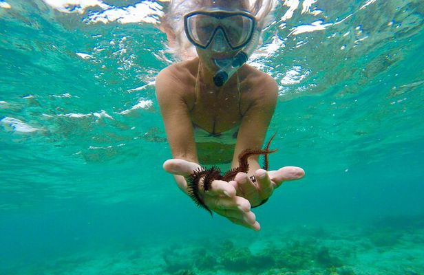 Glass Bottom Nylon Pool Tour in Buccoo Reef
