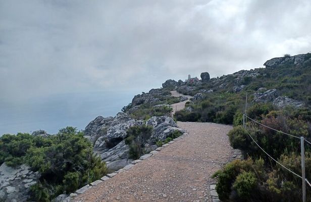 Table Mountain and Cape of Good Hope Tour