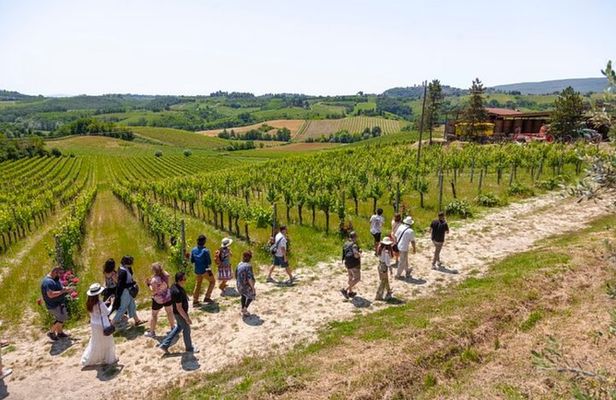 Tuscany Day Trip from Florence: Siena, San Gimignano, Pisa and Lunch at a Winery