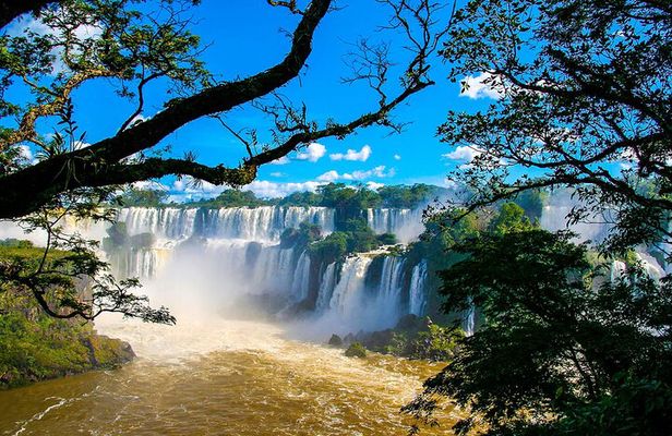 Guided Tour Brazilian Falls and Bird Park Exploration