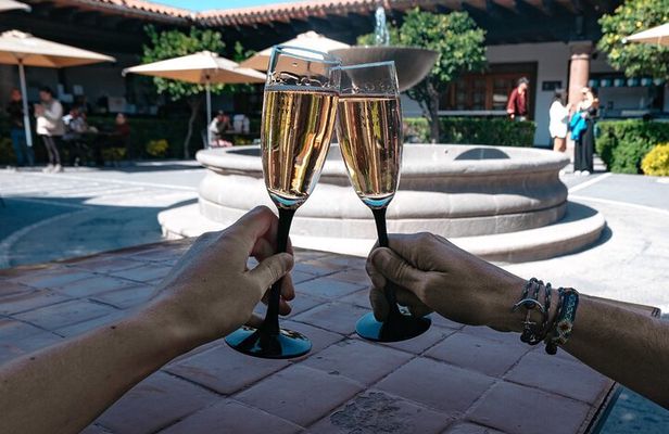 Cheese and Wine Tour in a Day from Queretaro