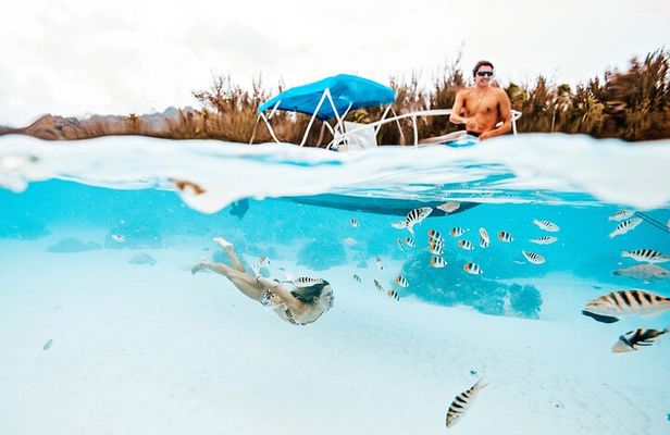 Lagoon and Wildlife Discovery on a Private Boat in Moorea