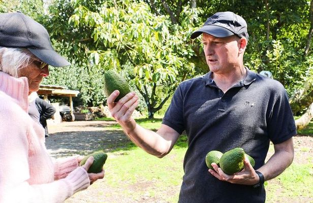 Kwizine Foodie Tour In Western Bay Of Plenty