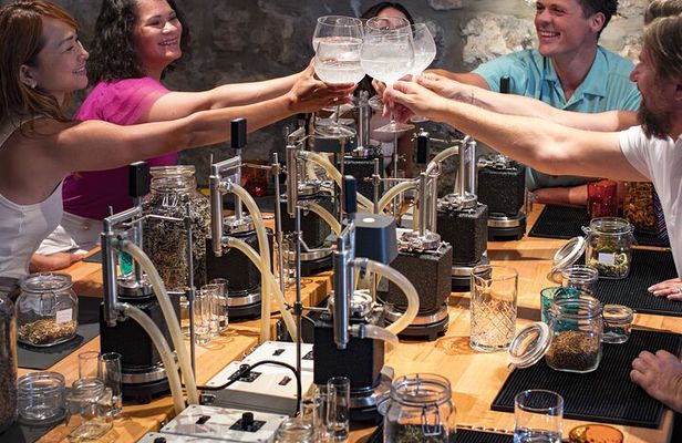 Habitat Gin Lab Experience