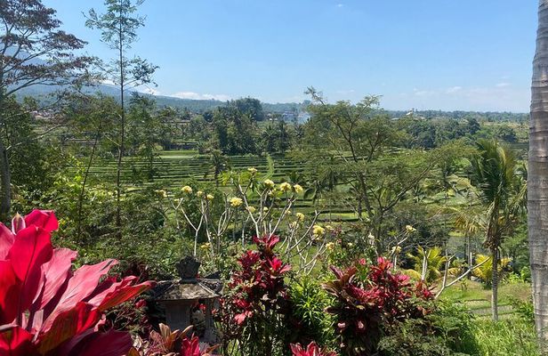 Full Day Bali Scooter Tour