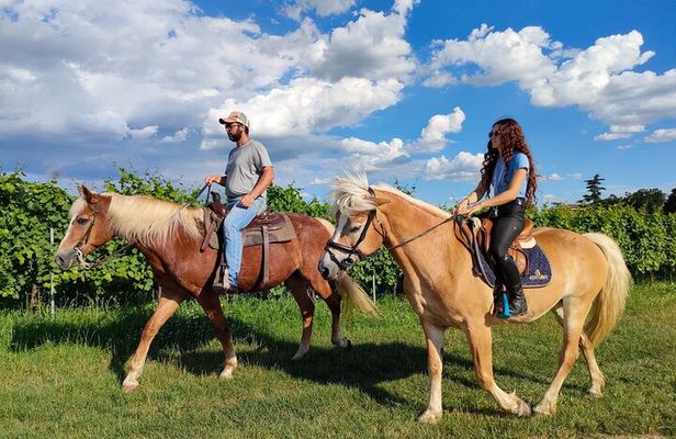 Horseback Riding with wine tasting in Lake Garda vineyards
