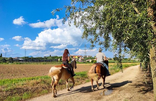 Horseback Riding with Pic Nic in Lazise Countryside