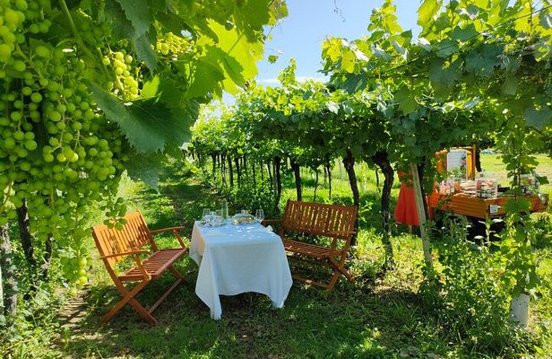 Horse Carriage Tour with Pic Nic in Lazise