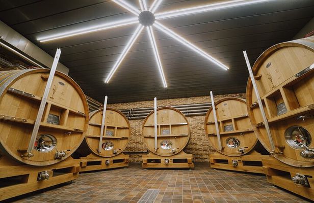 Private group play and Champagne tasting Domaine Coutant