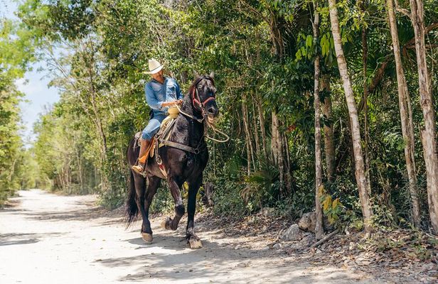 Tour Nature on horseback and cenote